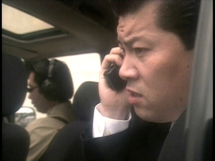 平成淑女宣言 白石ひとみ